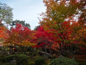 圓光寺