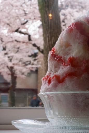 桜とかき氷