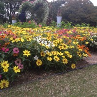 長居植物園(iPhone4S)